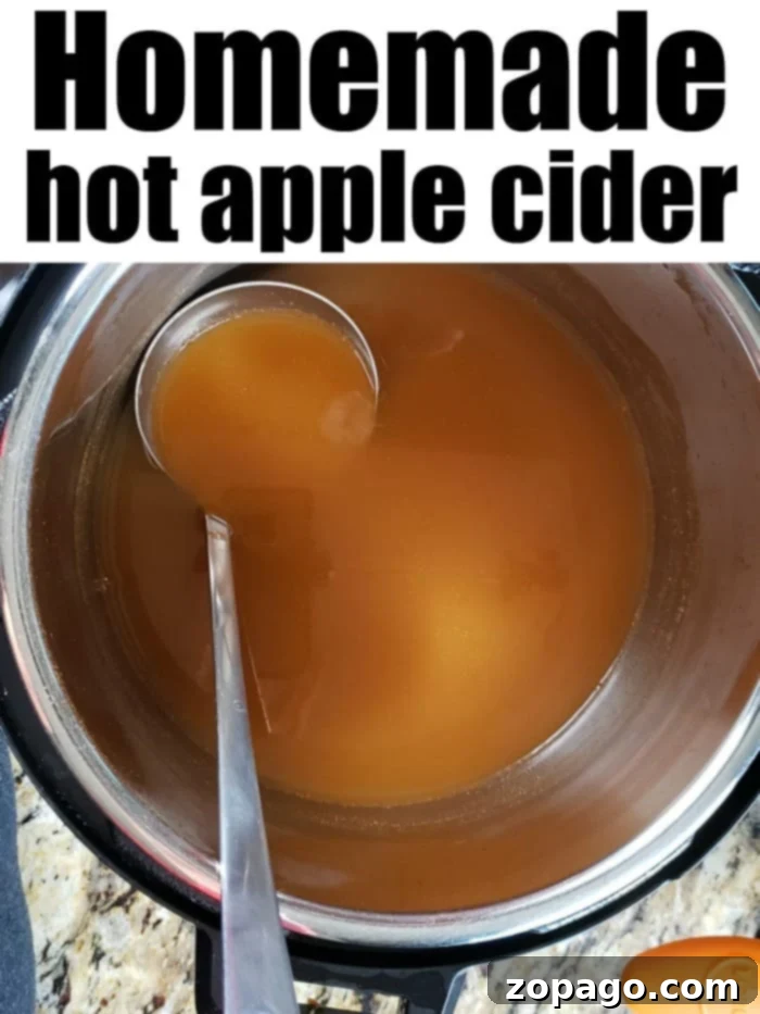 Instant Pot Spiced Apple Cider 5 A pot filled with homemade hot apple cider, with a metal ladle resting inside, sits invitingly on a kitchen countertop. The text at the top reads "Instant Pot Apple Cider," showcasing an effortless way to enjoy this cozy, delicious treat.