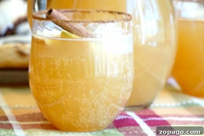Instant Pot Spiced Apple Cider 7 A refreshing glass of chilled sparkling apple cider, garnished with fresh apple slices and a sprig of mint, offering a cool contrast to the hot version.