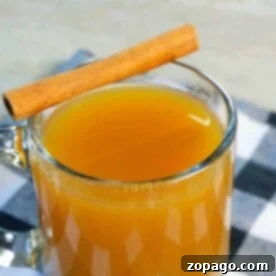 A clear glass mug filled with warm apple cider, made effortlessly in an instant pot, is topped with a cinnamon stick. The mug rests on a checkered cloth against a light background.