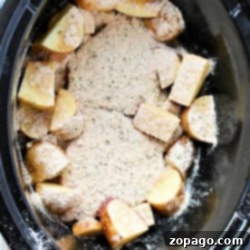 Crockpot steak and potatoes featuring chopped potatoes topped with breadcrumbs and seasoning.