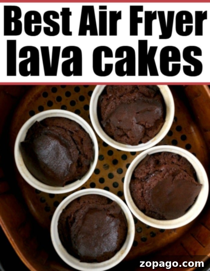 Air fryer chocolate cake will become your new favorite dessert! Ooey gooey chocolate lava cake made in ramekins inside your Ninja Foodi or other brand. #airfryerrecipes #airfryerdessert #airfryercake #chocolatecake #lavacake #ninjafoodirecipes #ninjafoodi #foodi Boxed cake in air fryer: A comparison showing a less desirable outcome, highlighting the benefit of homemade.