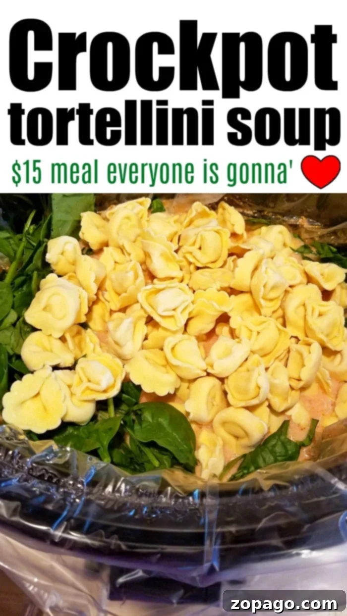 Easy Slow Cooker Meals 5 Crockpot Tortellini Soup with fresh herbs and pasta