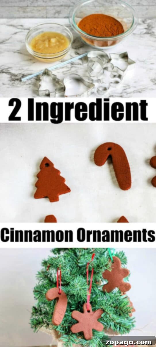 Simple Two Ingredient Cinnamon Decorations 5 A collection of beautifully decorated DIY cinnamon Christmas ornaments hanging from evergreen branches, showcasing various festive shapes and simple designs.