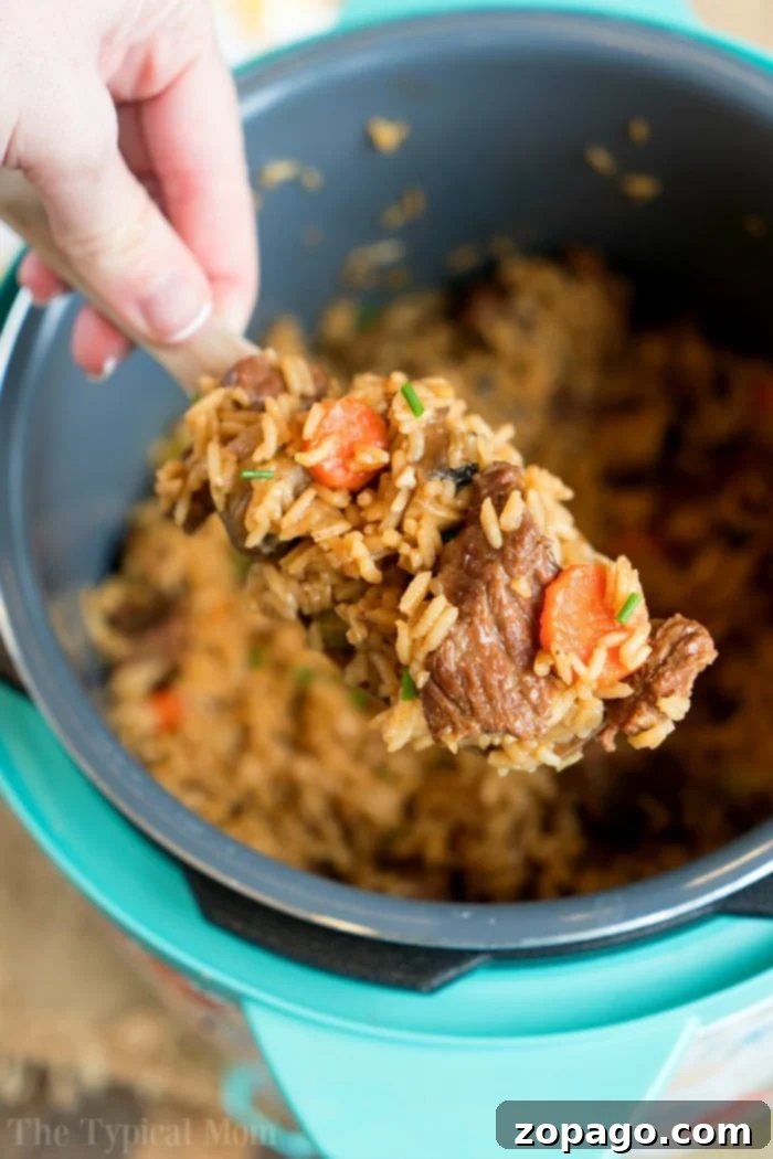 Instant Pot beef stew casserole is incredible! With tender beef and rice cooked in one pot with vegetables too it is a pressure cooker recipe you will love. #instantpot #thetypicalmom #instantpotrecipes #instantpotrecipeseasy #instantpotbeef #beef #instantpotcasserole #casserole #instantpotbeefandrice Instant Pot beef casserole with tender beef and rice