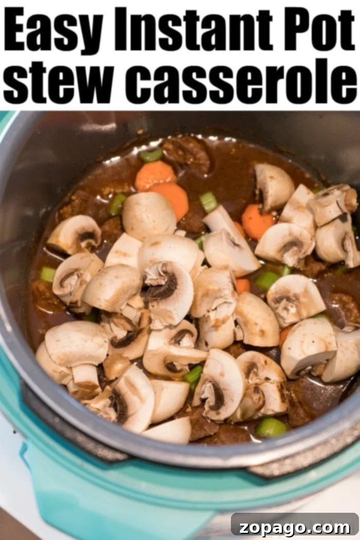 Hearty Instant Pot beef stew casserole: tender beef, rice, and vegetables, perfect for a comforting meal. Instant Pot beef stew casserole with a spoon