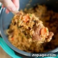 Hearty Instant Pot Beef Casserole 5 A hand holds a spoonful of hearty beef stew over an instant pot filled with a delicious casserole of cooked rice, tender beef, and vibrant vegetables. The dish features chunks of beef and carrots, elegantly garnished with fresh green herbs.