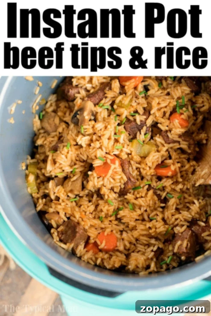 Instant Pot beef and rice casserole is incredible! With tender beef and rice cooked in one pot with vegetables too it is a pressure cooker recipe you will love. #instantpot #thetypicalmom #instantpotrecipes #instantpotrecipeseasy #instantpotbeef #beef #instantpotcasserole #casserole #instantpotbeefandrice instant pot beef and rice casserole
