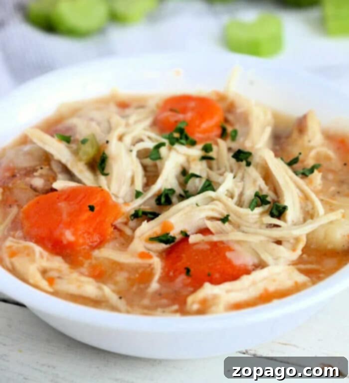 Hearty Instant Pot Chicken Stew 2 Close-up of creamy Instant Pot chicken stew with chunks of chicken, potatoes, and carrots, ready to be served.