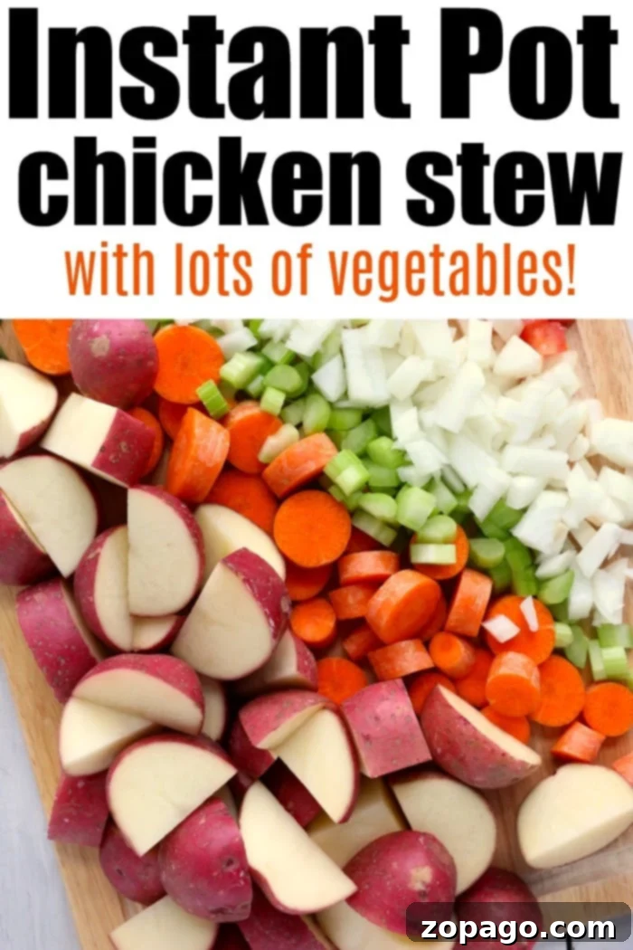Instant Pot chicken stew is pure comfort food packed with vegetables and tender meat. Warm and creamy, you will love this pressure cooker soup for dinner. Hearty Instant Pot chicken stew with chunky vegetables and tender shredded chicken, served in a rustic bowl.