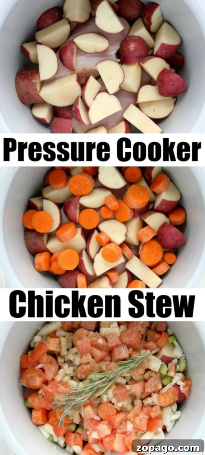 Pressure cooker chicken stew is pure comfort food packed with vegetables and tender meat. Warm and creamy, you will love this pressure cooker soup for dinner. Overhead view of a pot full of rich pressure cooker chicken stew, with steam rising and fresh parsley garnish.