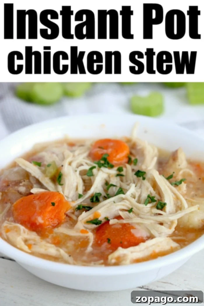 Instant Pot chicken stew comfort food packed with vegetables and tender meat. Warm and creamy, you will love this pressure cooker soup for dinner. A bowl of Instant Pot chicken stew, rich with vegetables and shredded chicken, garnished with fresh herbs, ready to be served.