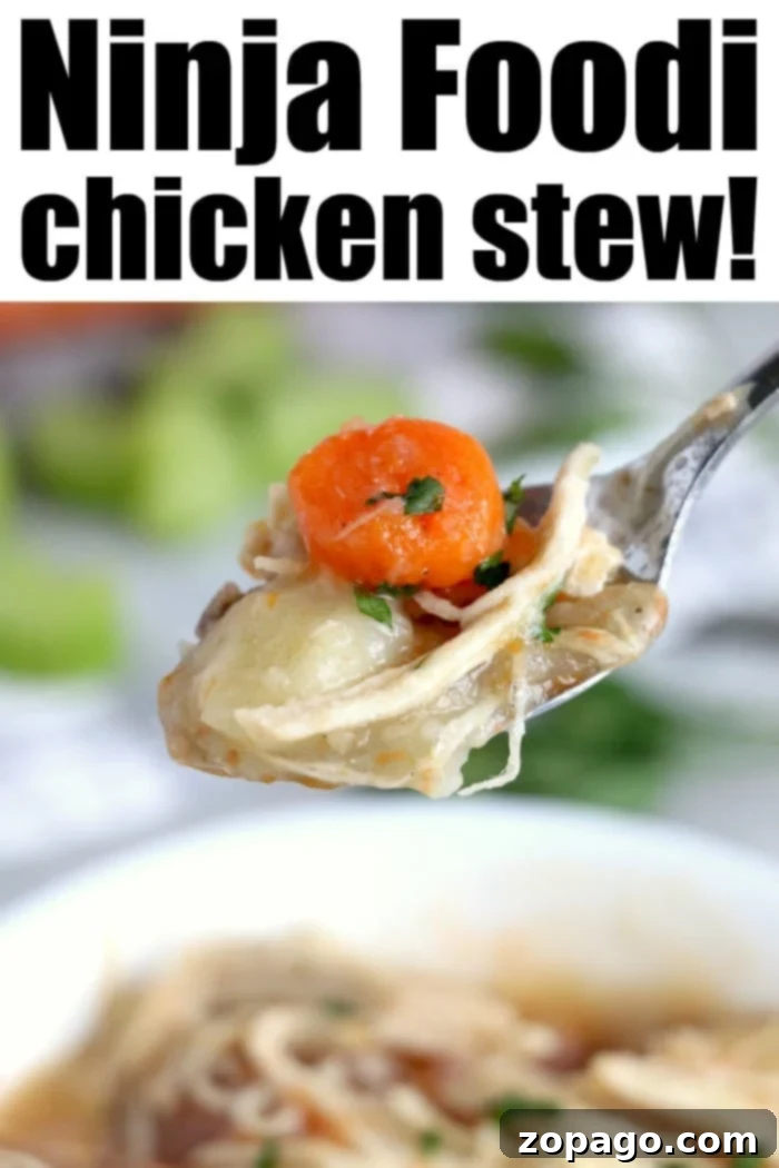Ninja Foodi chicken stew is pure comfort food packed with vegetables and tender meat. Warm and creamy, you will love this pressure cooker soup for dinner. A spoonful of creamy Instant Pot chicken stew, showcasing tender chicken, carrots, and potatoes, with text overlay 'Ninja Foodi Instant Pot Chicken Stew!'.