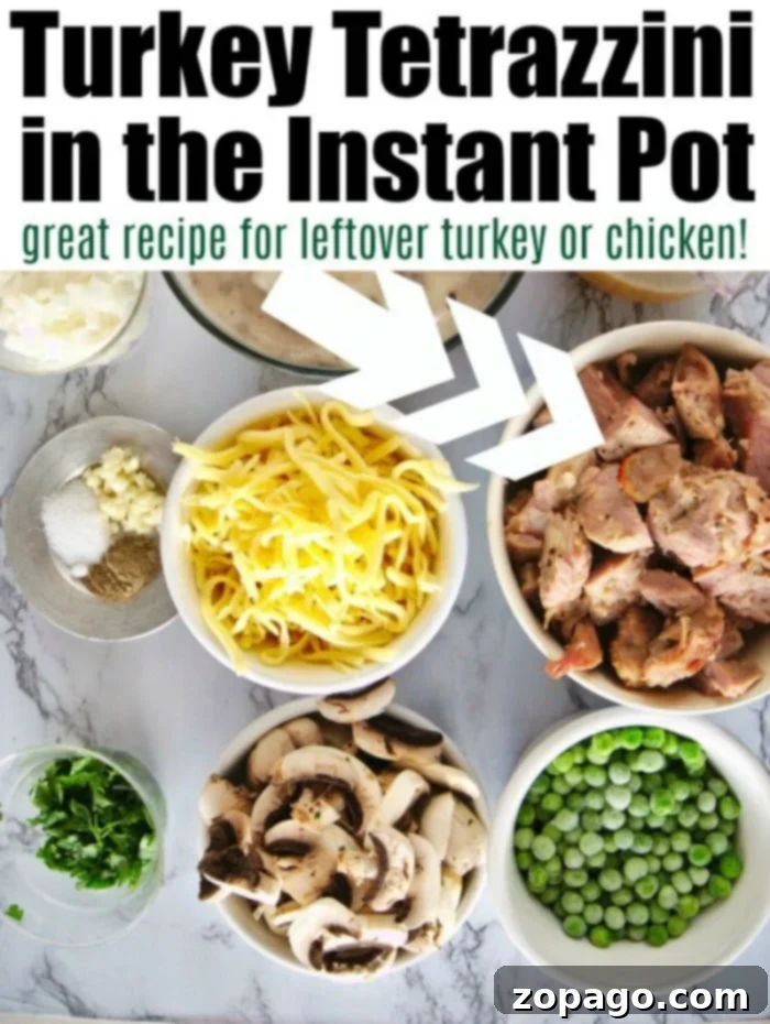 Instant Pot turkey tetrazzini using leftover turkey or rotisserie chicken! Cooked with tender noodles and vegetables all in one pot, you'll love it. #instantpotrecipes #turkeytetrazzini #leftoverturkeyrecipe #pressurecookerrecipes #instapot #instapotrecipes #instantpot pressure cooker turkey tetrazzini