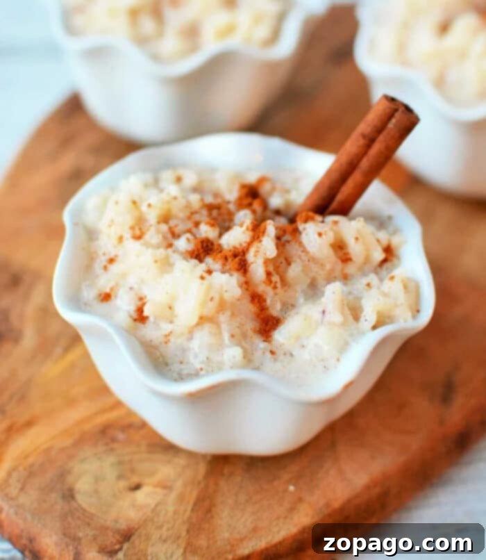 A close-up of creamy crockpot rice pudding garnished with cinnamon, ready to be served from a slow cooker.
