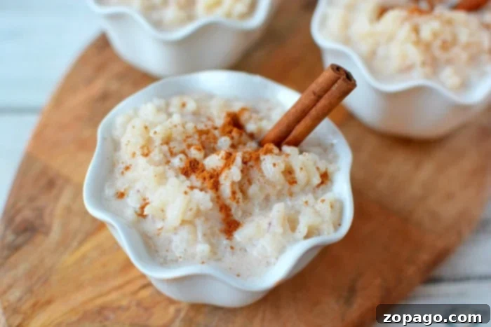A serving of slow cooker rice pudding in a small bowl, garnished with cinnamon, showcasing its delicious appeal.