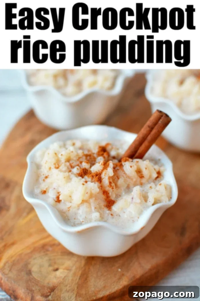 A large serving of slow cooker rice pudding, beautifully presented and garnished, emphasizing its creamy texture and inviting appeal.