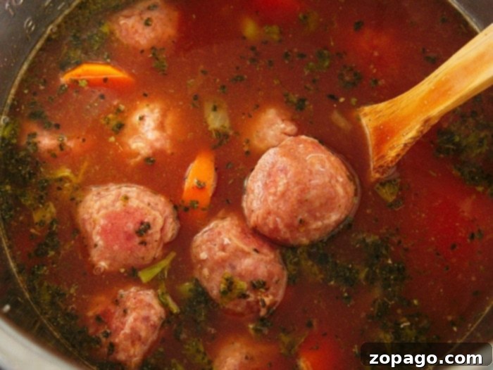 Hearty Instant Pot Meatball Soup 2 frozen meatballs recipe Instant Pot