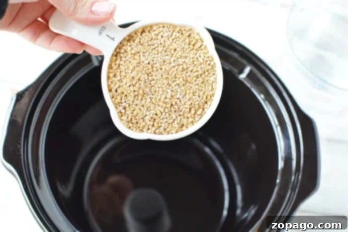 Effortless Slow Cooker Steel Cut Oats 4 A bowl of creamy slow cooker steel cut oats with a spoon.
