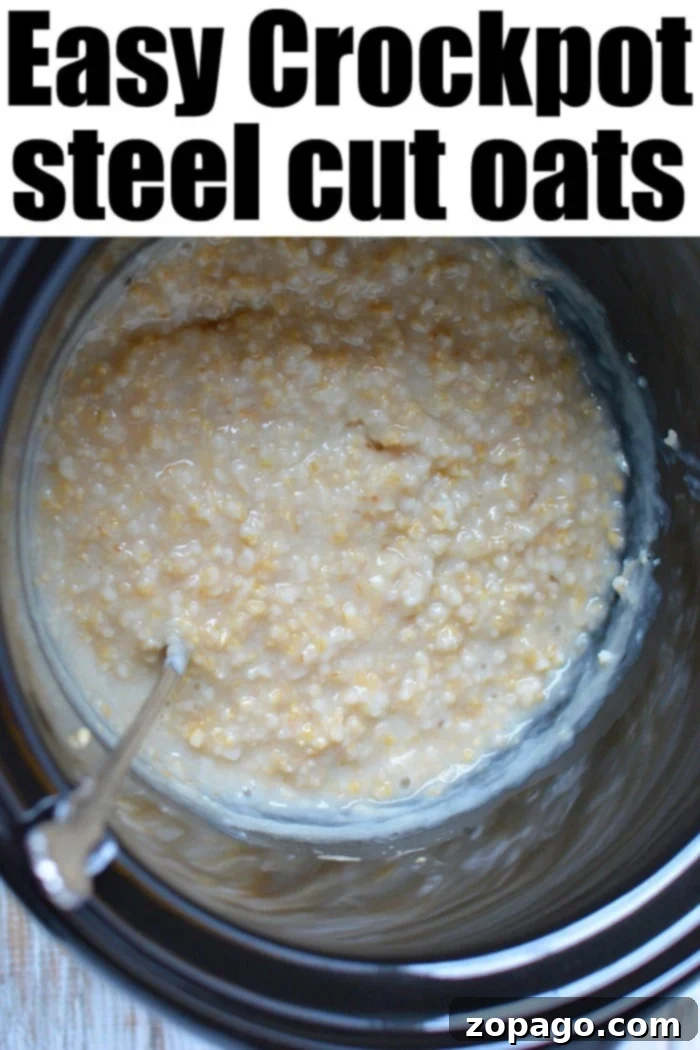 Slow cooker steel cut oats are great to make for a crowd during the holidays or on the weekend for your family. A tasty healthy breakfast is on it's way. #crockpotoatmeal #crockpotrecipeseasy #crockpotrecipes #oatmeal #steelcutoats #slowcookerrecipes A bowl of slow cooker steel cut oats with various toppings like berries and nuts.