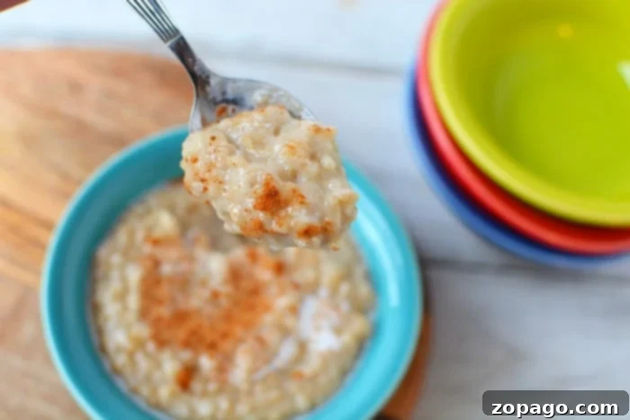Effortless Slow Cooker Steel Cut Oats 6 A serving of slow cooker oatmeal in a ceramic bowl with a spoon.