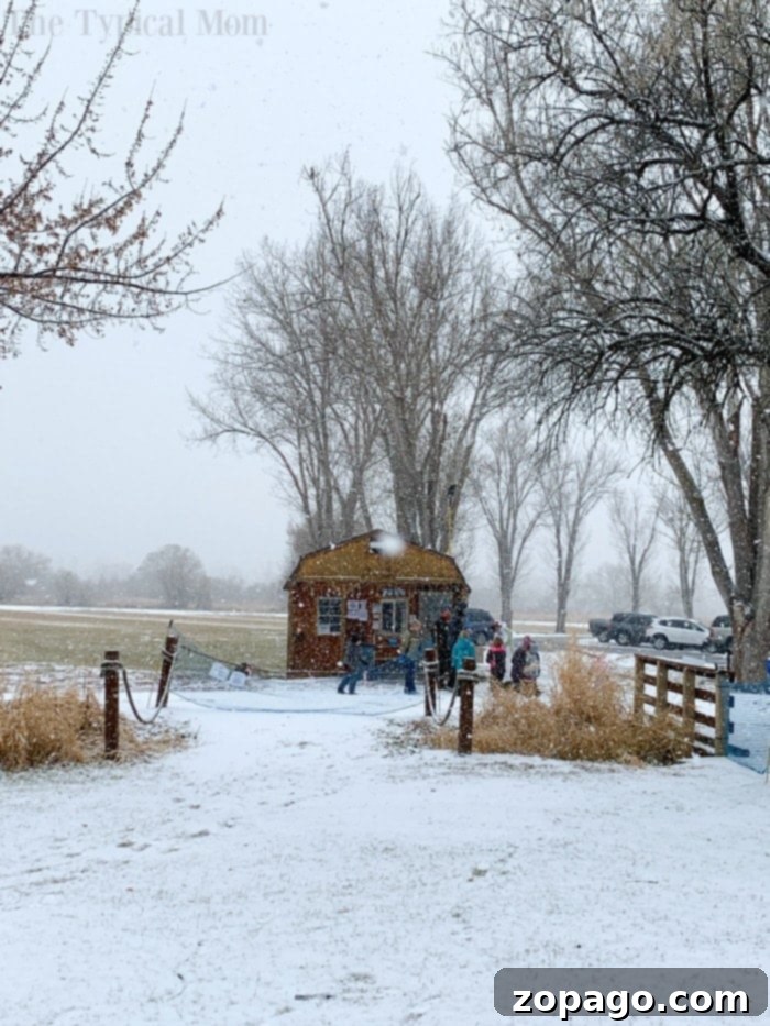 Sledding in Boise: Thrills for All Ages at Gateway Parks Eagle Island Kids and adults enjoying the sledding hill at Eagle Island State Park, a popular Boise winter attraction.