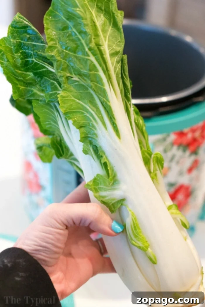 Effortless Instant Pot Bok Choy 2 How to Make Bok Choy in Instant Pot