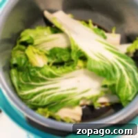 Perfect Instant Pot Bok Choy 4 instant-pot-bok-choy