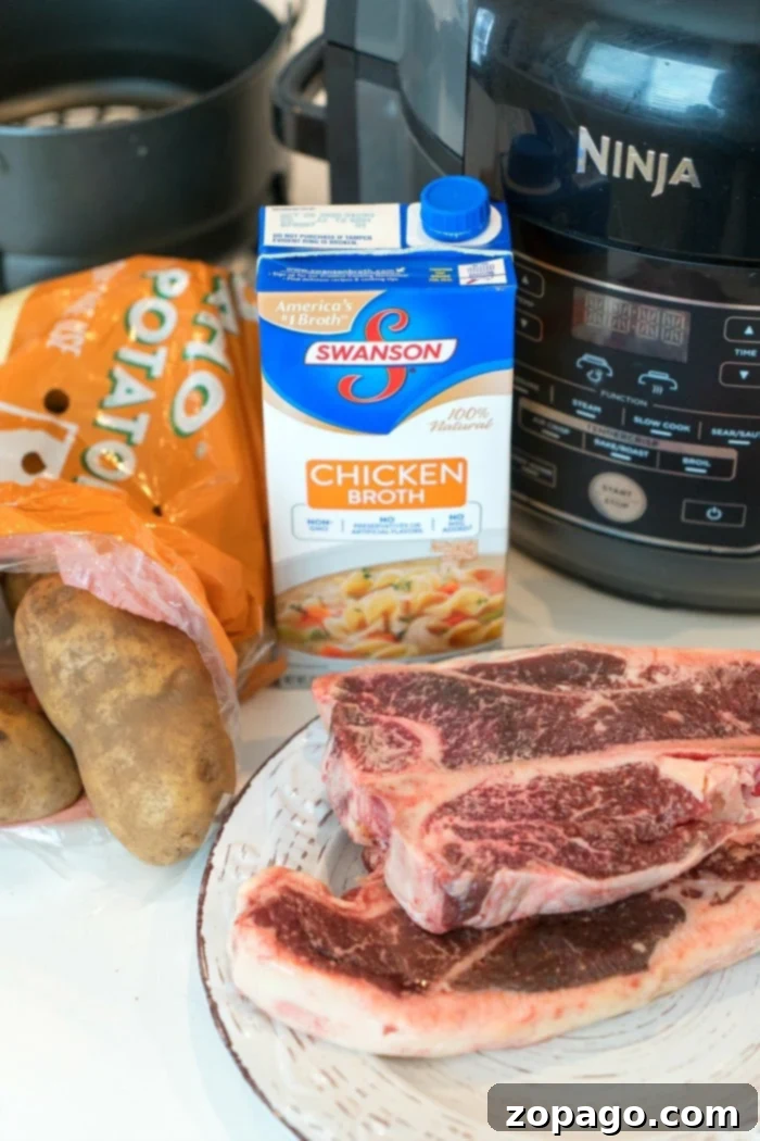 Ninja Foodi steak and mashed potatoes comes out great, all in one pot! Tender pressure cooked meat and potatoes, then air fried steak with the best dry rub. #ninjafoodi #ninjafoodirecipes #foodi #steak #mashedpotatoes #onepotmeals #thetypicalmom Ninja Foodi steak and mashed potatoes showing the delicious finished meal.