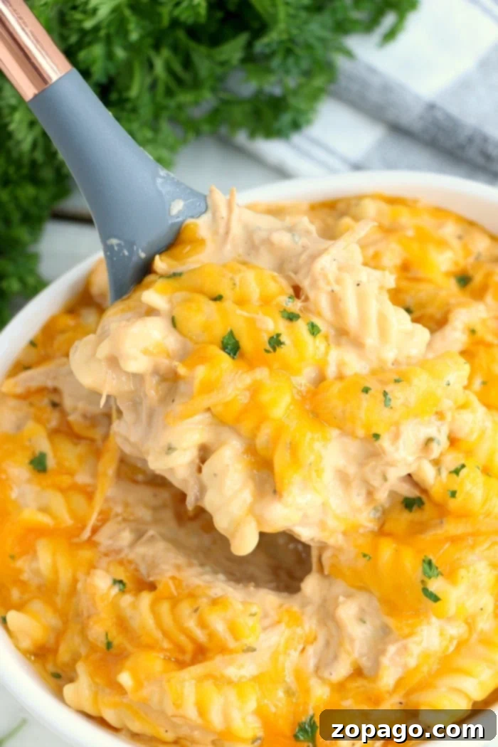 Best Instant Pot casserole with chicken, pork or beef and pasta is amazing! Cooked in one pot, follow this method to make a ton of new meals. #instantpotcasserole #casserole #chickencasserole #instantpotrecipes #thetypicalmom Instant Pot casserole featuring tender chicken, pork, or beef with pasta