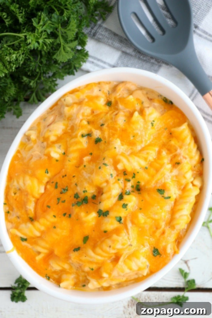 Easy Instant Pot casserole with chicken, pork or beef and pasta is amazing! Cooked in one pot, follow this method to make a ton of new meals. #instantpotcasserole #casserole #chickencasserole #instantpotrecipes #thetypicalmom Creamy pork pasta casserole, ready to serve