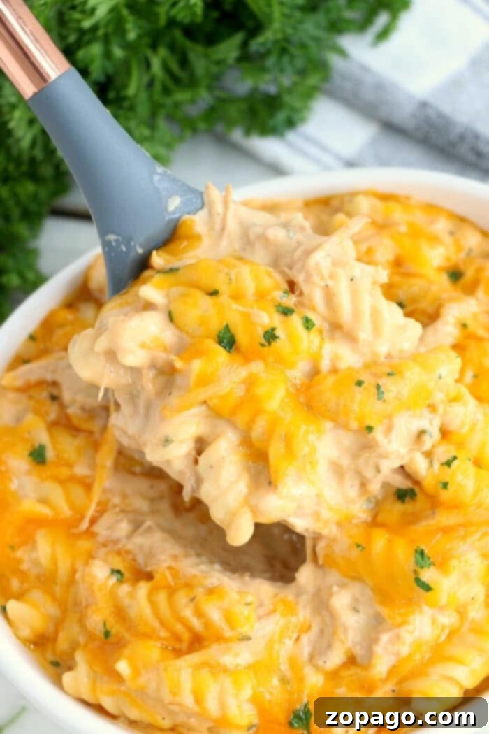 Instant Pot Chicken Casserole 6 A large, comforting Instant Pot casserole, perfect for family dinners.