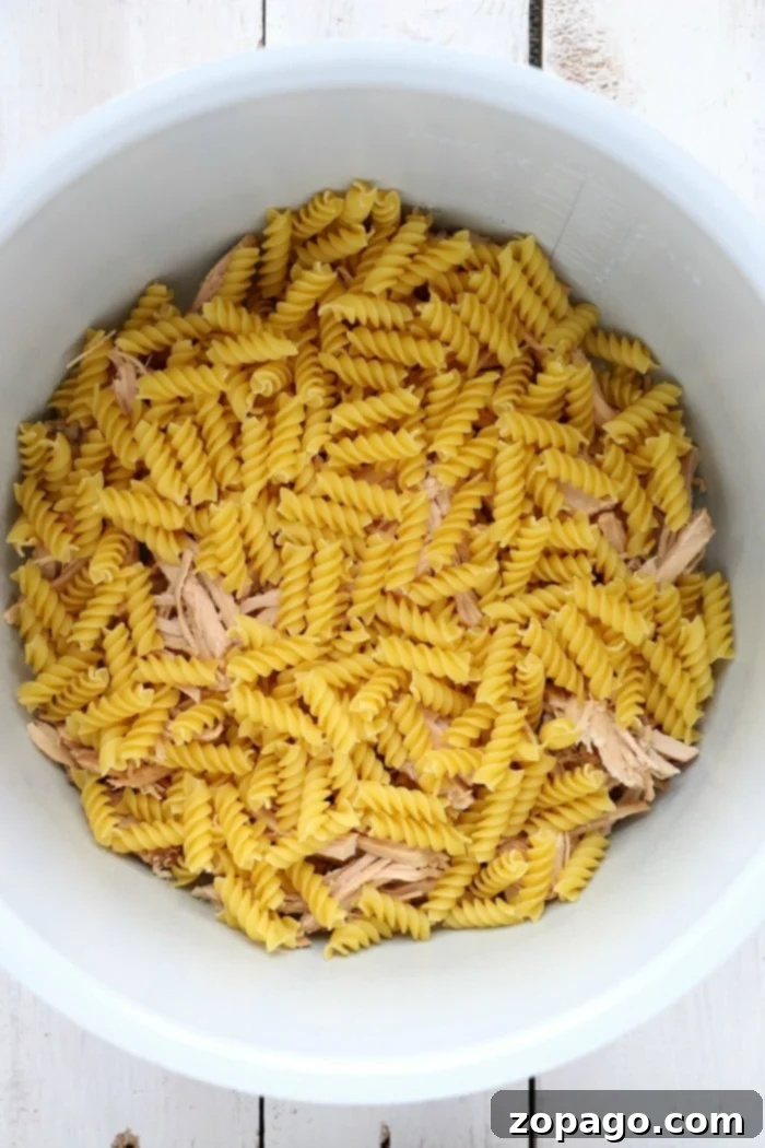 Instant Pot pasta and chicken or pork! Instant Pot pasta dish with meat and vegetables
