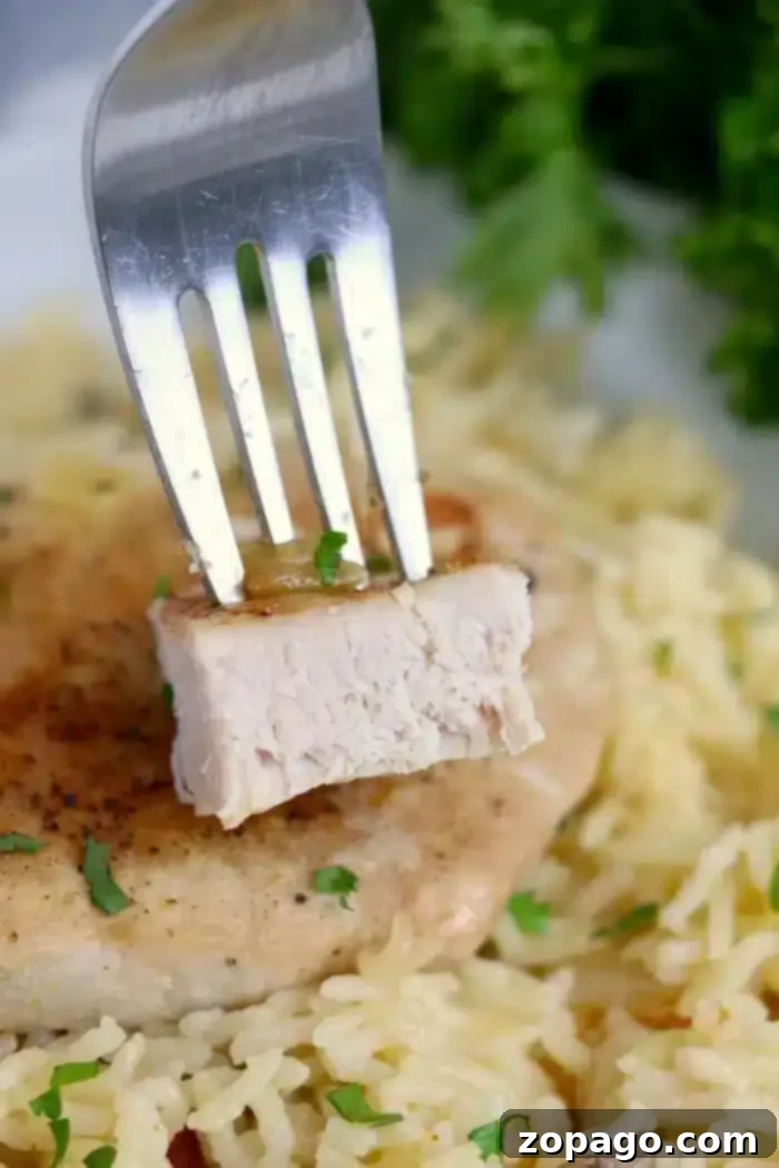 Flavorful Dry Rub Baked Pork Chops 10 A fork lifts a piece of perfectly cooked chicken over a plate of seasoned rice and fresh herbs, promising a culinary experience as satisfying as the best baked pork chops. Fresh parsley garnishes the background.