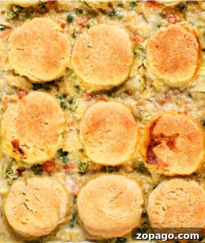 Ninja Foodi Chicken Pot Pie 2 Delicious pressure cooker chicken pot pie with a golden biscuit topping, made in a Ninja Foodi