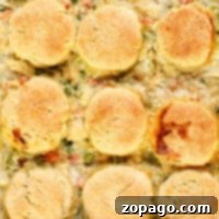 A casserole reminiscent of a comforting ninja foodi chicken pot pie, topped with golden brown biscuits.