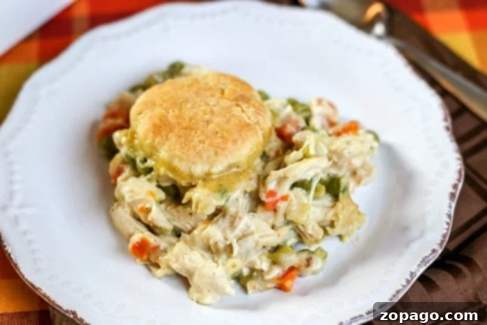 Perfect Ninja Foodi Chicken Pot Pie 7 A serving of flavorful leftover chicken pot pie, showing the creamy filling and a golden biscuit.