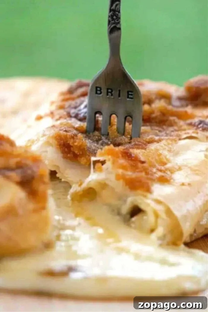 Easy Air Fryer Brie & Crescent Bundles 2 how to make air fryer baked brie