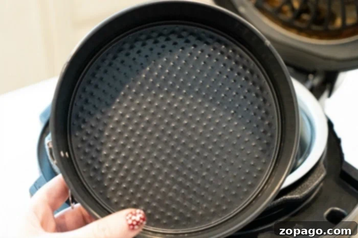 Easy Air Fryer Brie & Crescent Bundles 5 springform pan