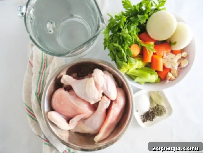 chicken and vegetables in a pot