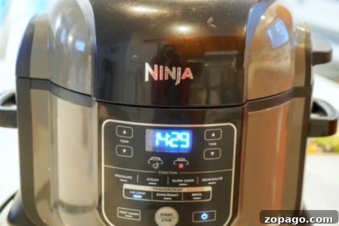 Crispy Low-Carb Air Fryer Meals 7 A sleek and modern Ninja Foodi multi-cooker, prominently displayed, highlighting its versatile capabilities for air frying, pressure cooking, and more, making healthy and efficient meal preparation effortless.