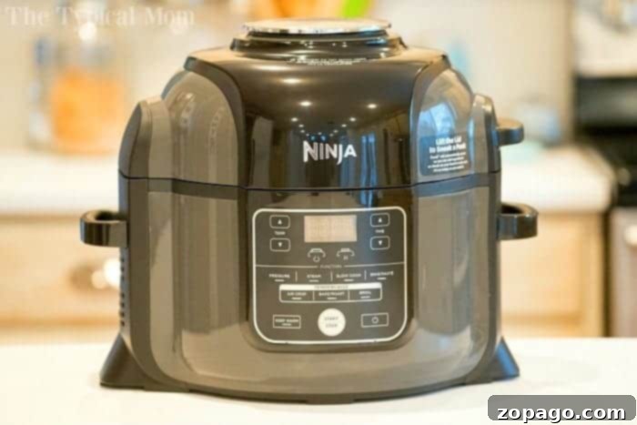 Costco Air Fryer Hacks 2 ninja foodi recipes 2