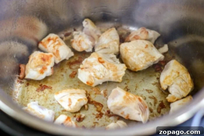 Creamy Peanut Butter Chicken 3 Instant Pot Chicken cooked to perfection.