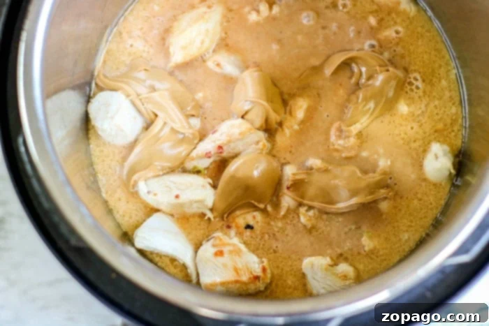 Creamy Peanut Butter Chicken 4 Peanut butter chicken served in a white bowl