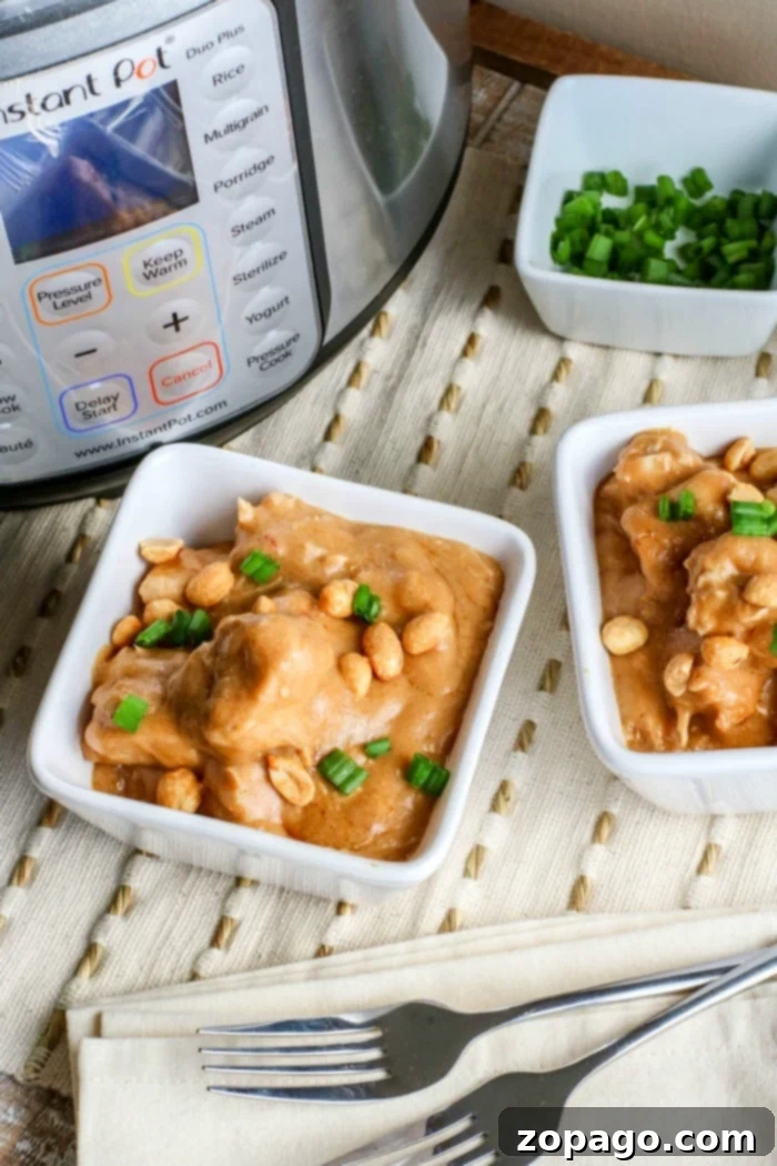 Instant Pot peanut butter chicken recipe is amazing! If you love pressure cooker chicken with bold flavors this is it. Your kids will love it too. #instantpot #peanutchicken #peanutbutterchicken #peanutbutter #chicken #instantpotchicken #instantpotrecipes #thetypicalmom Instant Pot chicken recipe, overhead shot with serving suggestions.