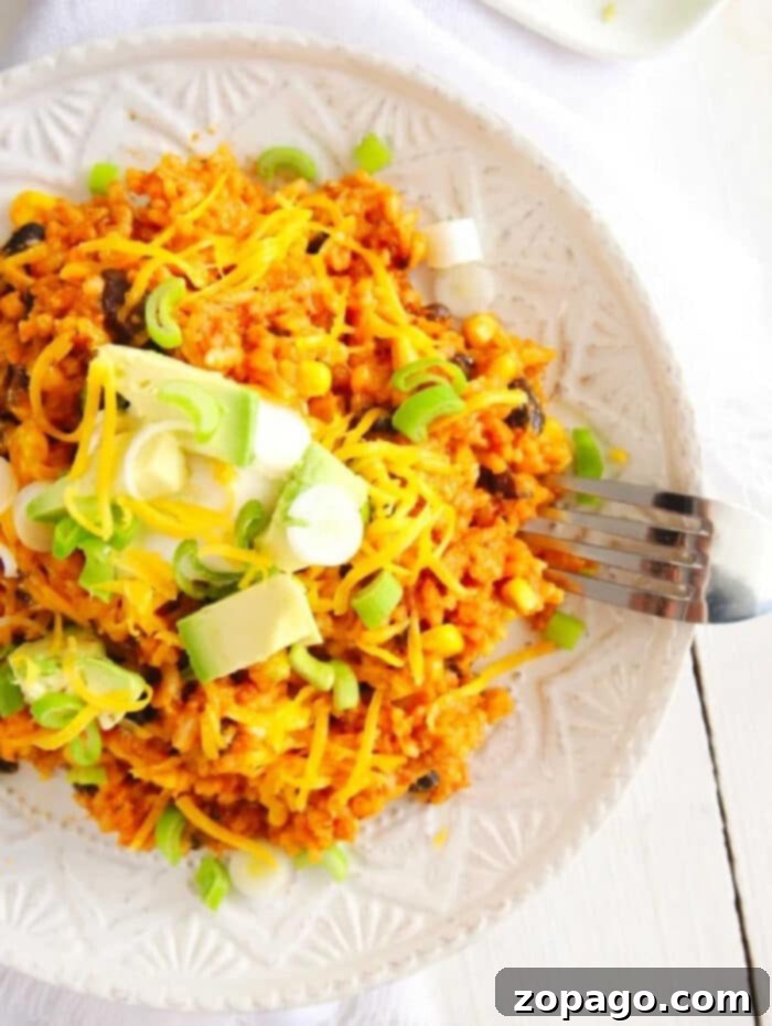 Instant Pot Cheesy Enchilada Rice 2 Instant Pot Enchilada Rice with toppings
