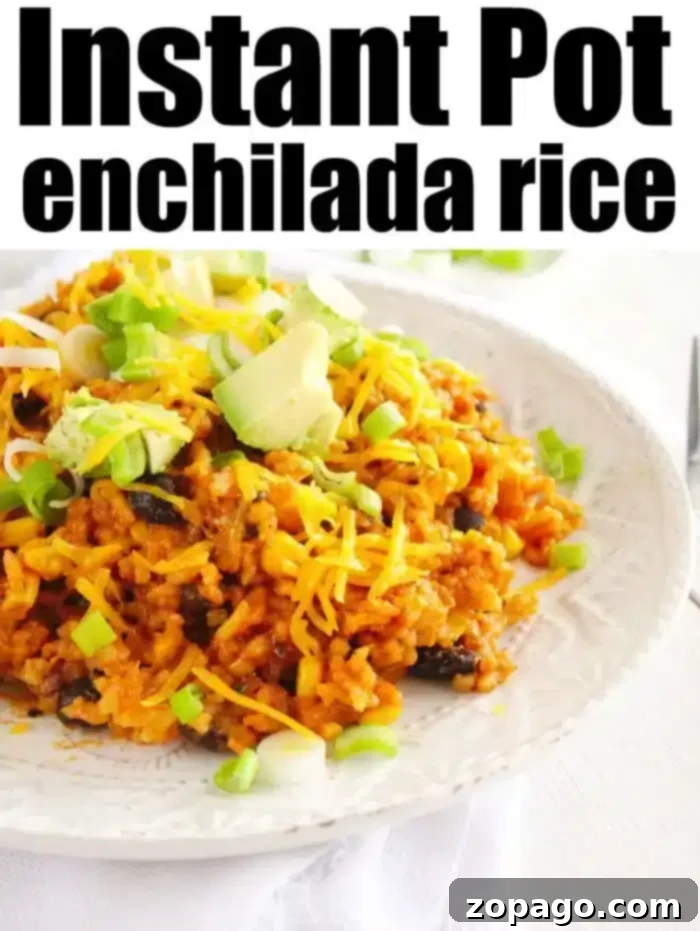 Instant Pot Cheesy Enchilada Rice 11 One Pot Enchilada Rice in a serving dish