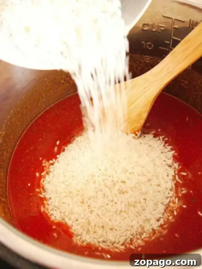 Instant Pot Cheesy Enchilada Rice 6 Cheesy Instant Pot Enchilada Rice close up