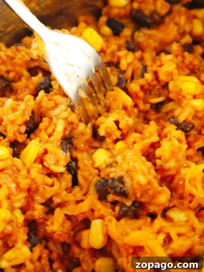 Instant Pot Cheesy Enchilada Rice 7 Enchilada rice recipe ready to eat