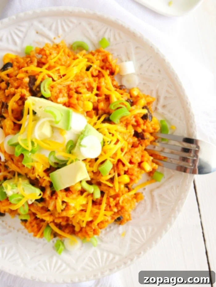 Instant Pot Cheesy Enchilada Rice 9 Instant Pot Enchilada Rice in a bowl