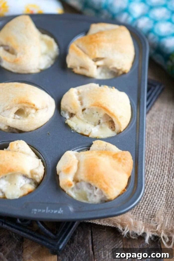 Make Leftover Turkey Unforgettable 2 Flavorful Leftover Turkey Dumplings with Crescent Rolls